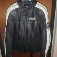 giacca moto pelle spidi donna 