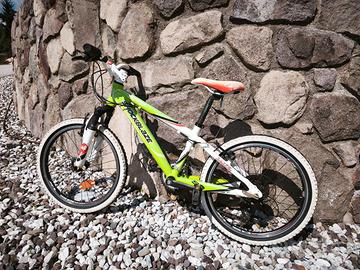 Bicicletta mountain bike bambino ruote 20