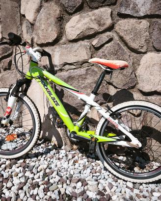 Bicicletta mountain bike bambino ruote 20