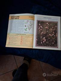 il grande libro delle erbe