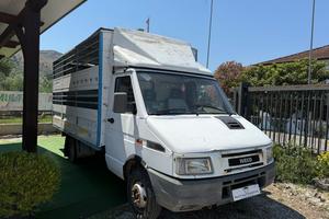 FIAT IVECO TRASPORTO ANIMALI