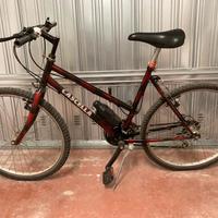 bicicletta Cascella 