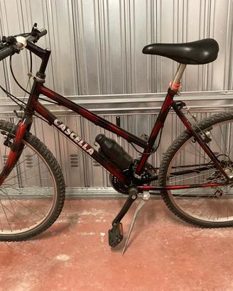 bicicletta Cascella 