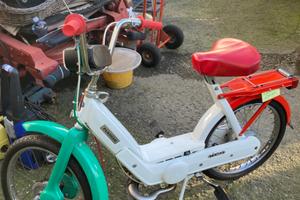 Ciao Tricolore 🇮🇹