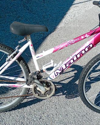 bicicletta 