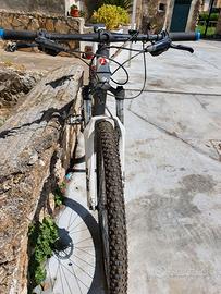 Mountain bike