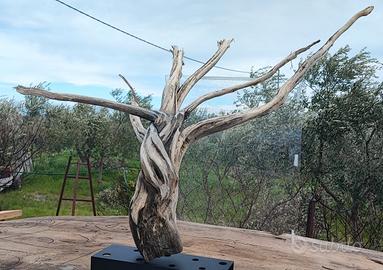Tronco driftwood 
