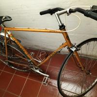 Bici da corsa