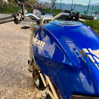 Ducati monster