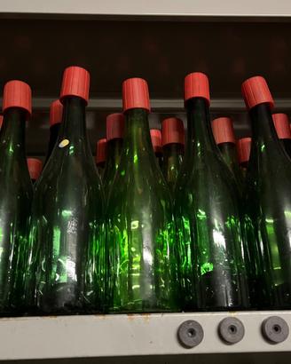 Bottiglie per vino