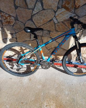 bici mtb