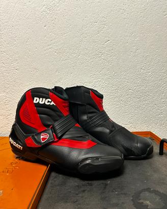 Stivali scarpe Alpinestars Ducati 43