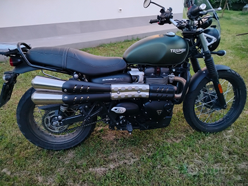 Triumph scrambler 900 (04/2024)