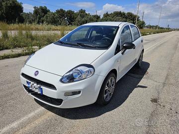 FIAT Punto 1.3 MJT 95CV 5 porte Van Easy 4 posti