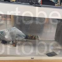 Codice: 268325 ACQUARIO JUWELL COMPLETO DI FILTRO