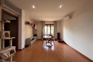 3 LOCALI A SAN BIAGIO DI CALLALTA