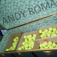 Centinaia di palline da tennis usate x gioco cane