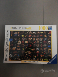 Puzzle National Geographic amazing animals