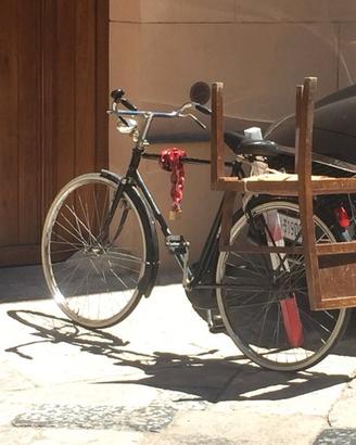 Bici freni a bacchetta