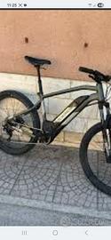 bici mtb