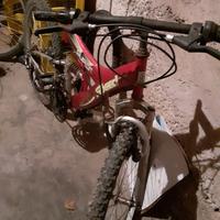 bicicletta mtb 