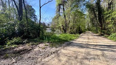 TER. AGRICOLO A BUTTRIO