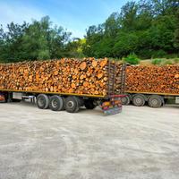 LEGNA SEGATA DI QUERCIA