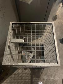 Gabbia in acciaio inox