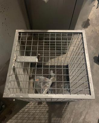 Gabbia in acciaio inox