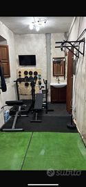 Palestra usata pochissimo