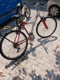 bicicletta
