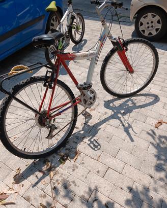 bicicletta