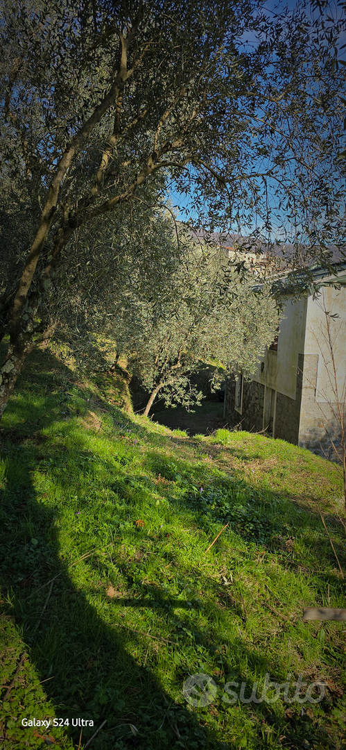 Casa – LU - Altro