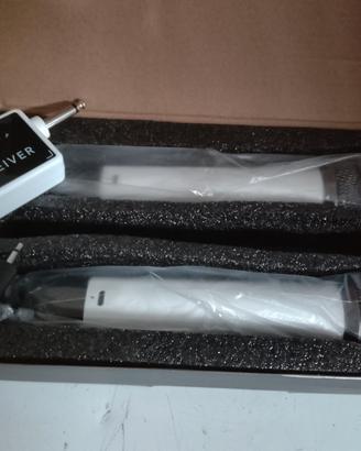 Coppia di microfoni wireless 