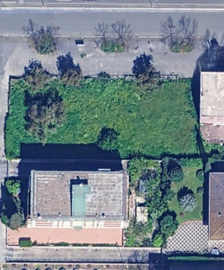 Esposizione auto , circo , street food