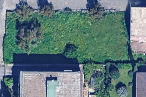 Esposizione auto , circo , street food