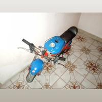 Minimoto ducati