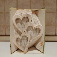 una foto in un libro