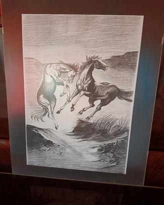 quadro meraviglioso consegna a mano Lucera foggia 