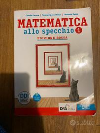 Matematica allo specchio 1