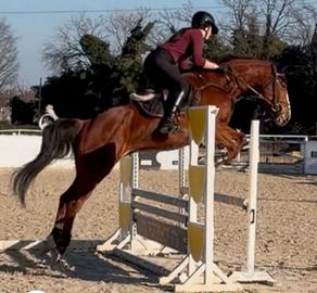 Sella italiano brevetti e primi gradi