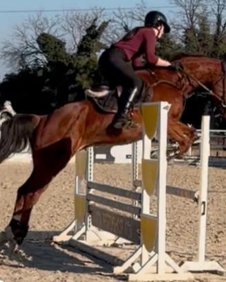 Sella italiano brevetti e primi gradi