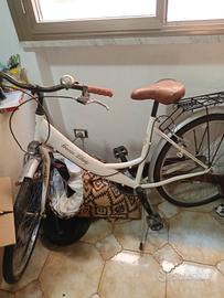 bicicletta da passeggio 