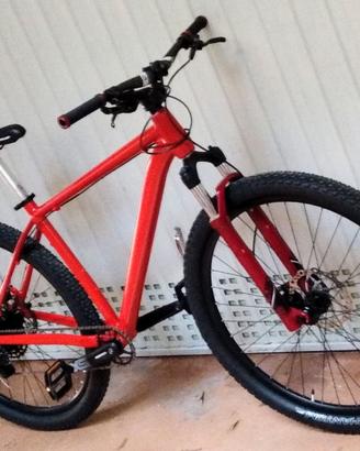 MTB 29 custom pronta all'uso