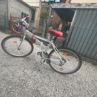 Bicicletta pieghevole