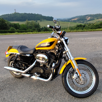 Harley Davidson sportster roadster 1200