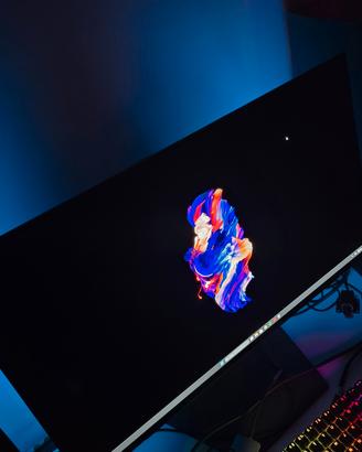 LG UltraGear OLED 2K 480Hz – Condizioni Perfette