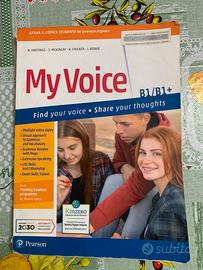 My voice b1