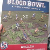 campo da gioco pit Blood Bowl