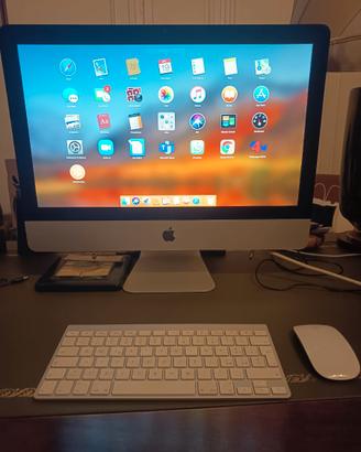 IMAC 11.2